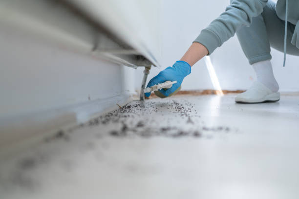 Best Affordable Pest Control Services  in Breezy Point, MN