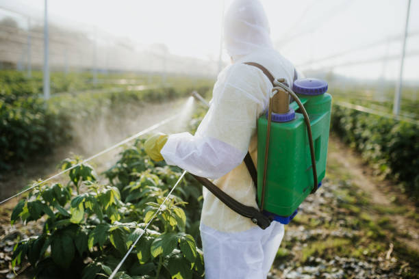 Pest Control for Restaurants in Breezy Point, MN